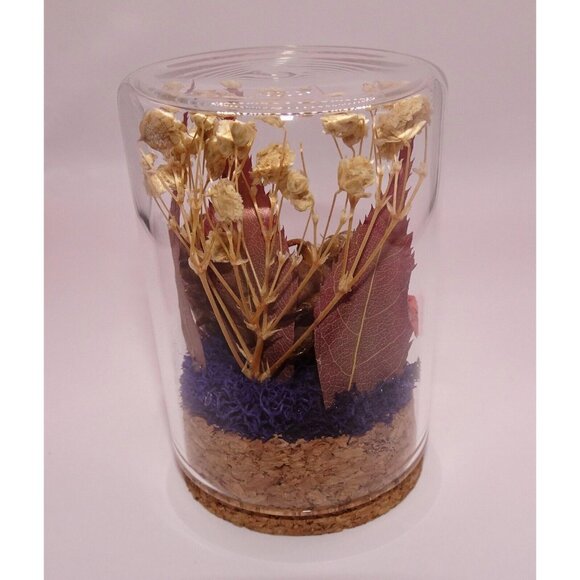 Two Cicada Skins Nut Shell & Dried Flowers Oddity Jar witchy goth taxidermy - Picture 9 of 13